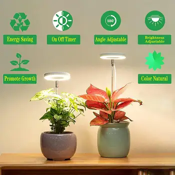 Malé Vnútorné zariadenia Svetlo Rastlín Svetlo Efektívne celé Spektrum Led Rásť Svetlá pre Kvet Bonsai Rastliny Široký Rozsah Osvetlenia